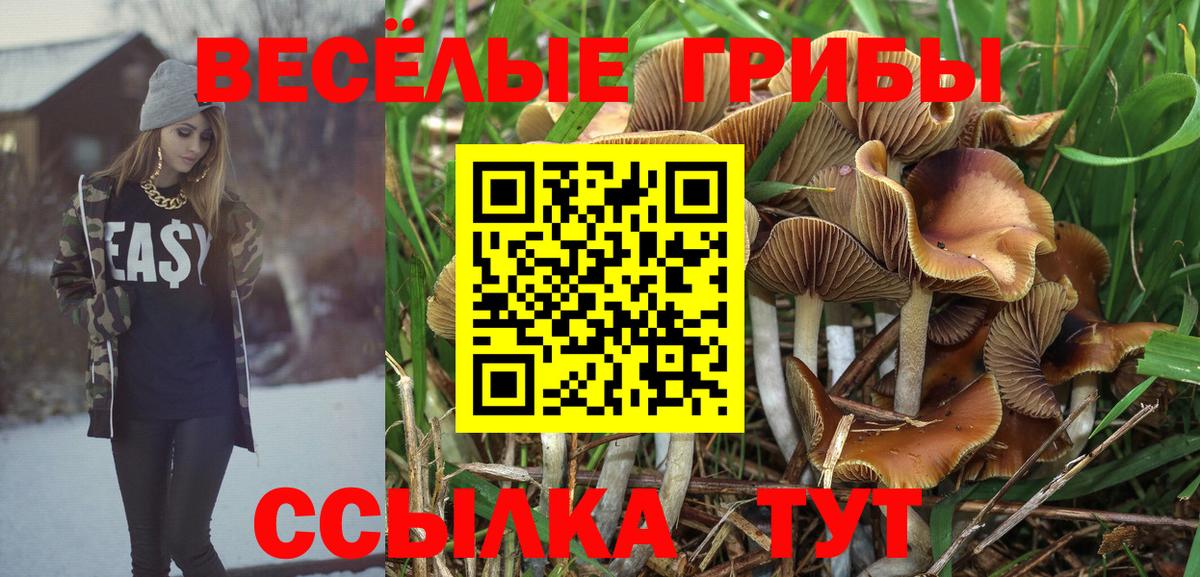 Галлюциногенные грибы мицелий  продажа наркотиков  Северск  Вход с VPN 
