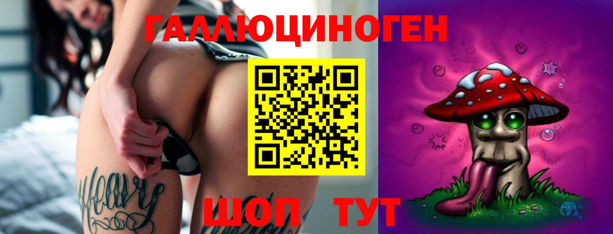 Псилоцибиновые грибы GOLDEN TEACHER Северск